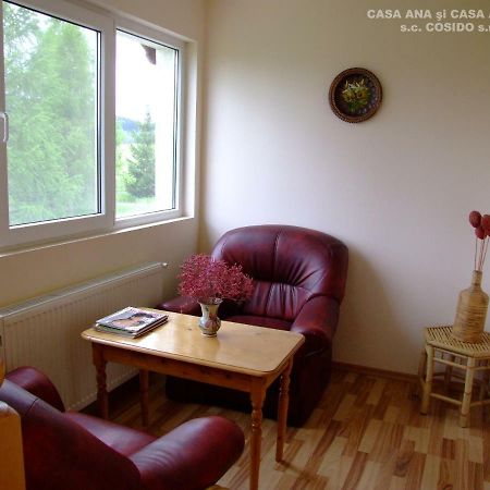 Casa Ana Vatra Dornei Villa Dealu Floreni Kültér fotó