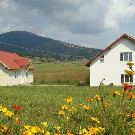 Casa Ana Vatra Dornei Villa Dealu Floreni Kültér fotó