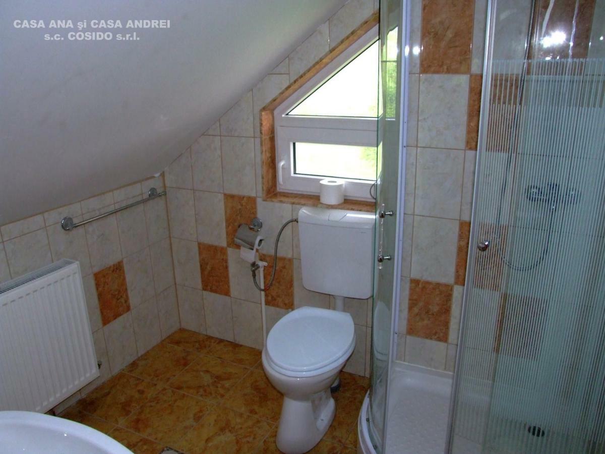 Casa Ana Vatra Dornei Villa Dealu Floreni Kültér fotó