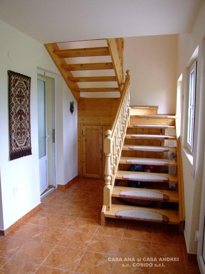 Casa Ana Vatra Dornei Villa Dealu Floreni Kültér fotó
