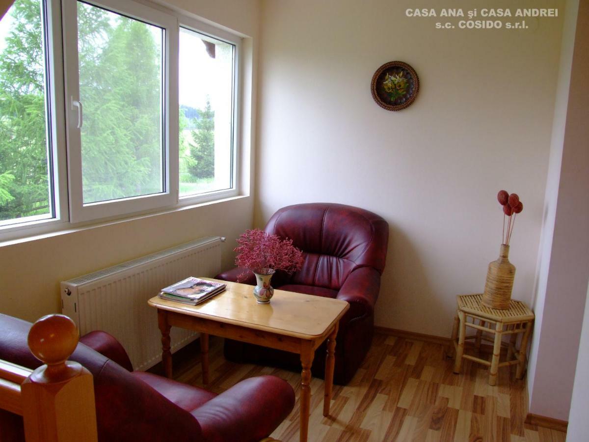 Casa Ana Vatra Dornei Villa Dealu Floreni Kültér fotó