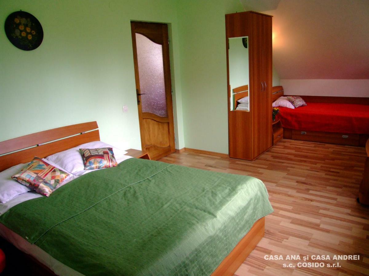 Casa Ana Vatra Dornei Villa Dealu Floreni Kültér fotó