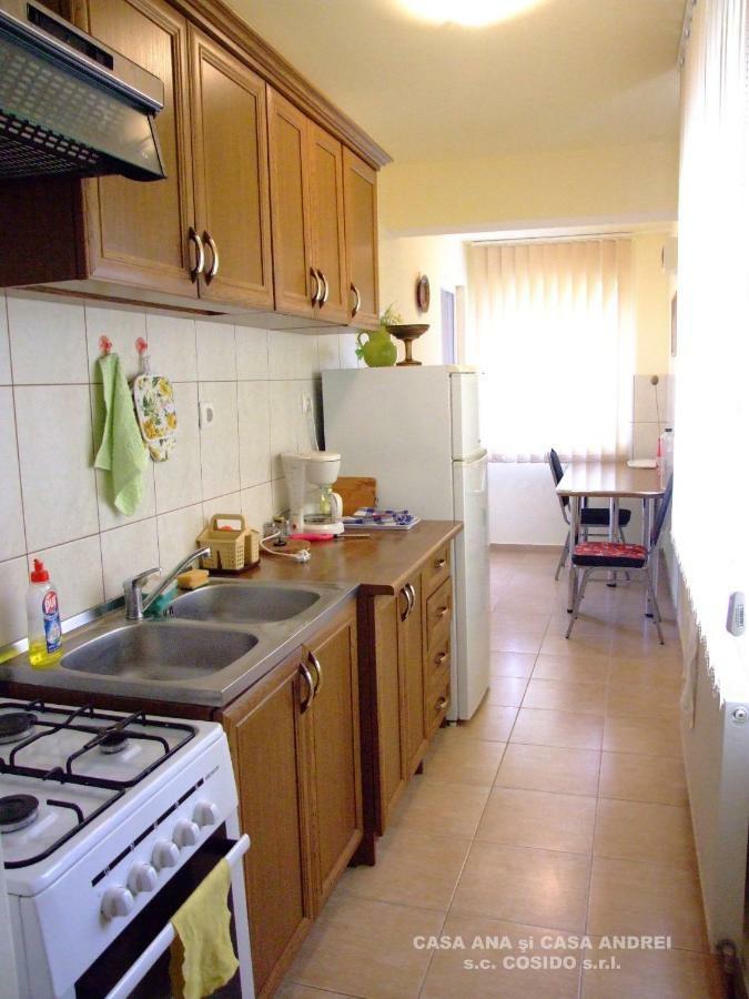 Casa Ana Vatra Dornei Villa Dealu Floreni Kültér fotó