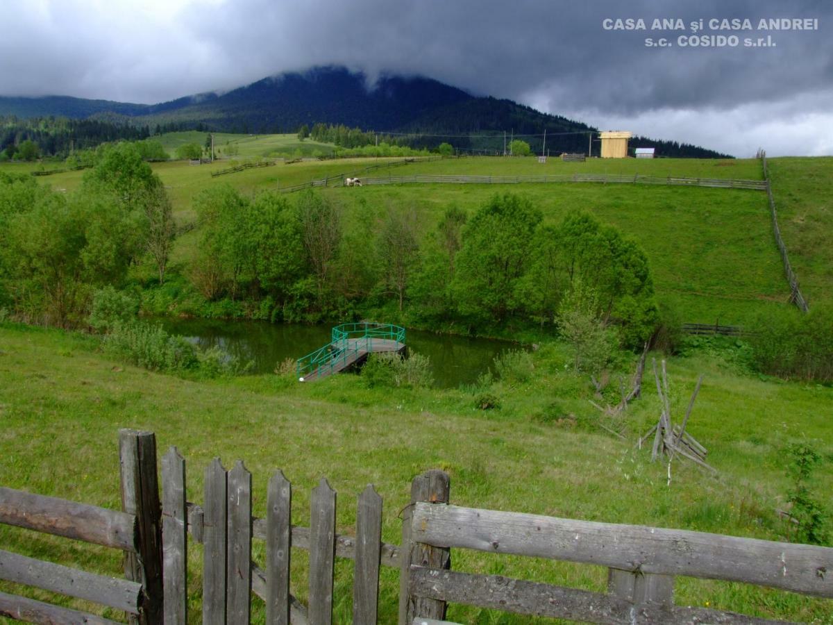 Casa Ana Vatra Dornei Villa Dealu Floreni Kültér fotó