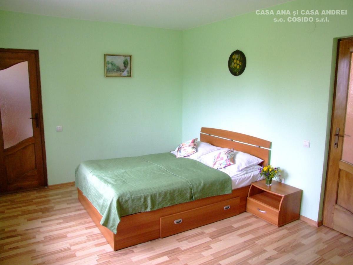Casa Ana Vatra Dornei Villa Dealu Floreni Kültér fotó