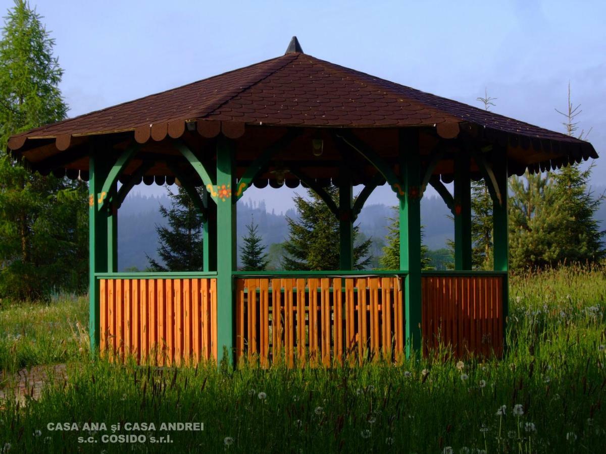 Casa Ana Vatra Dornei Villa Dealu Floreni Kültér fotó