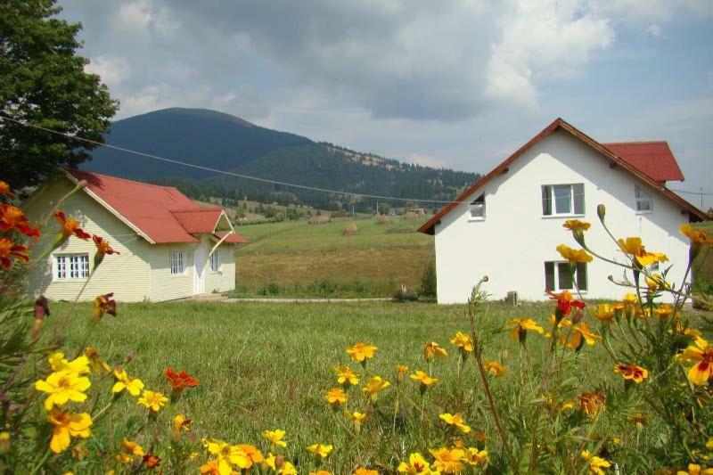 Casa Ana Vatra Dornei Villa Dealu Floreni Kültér fotó