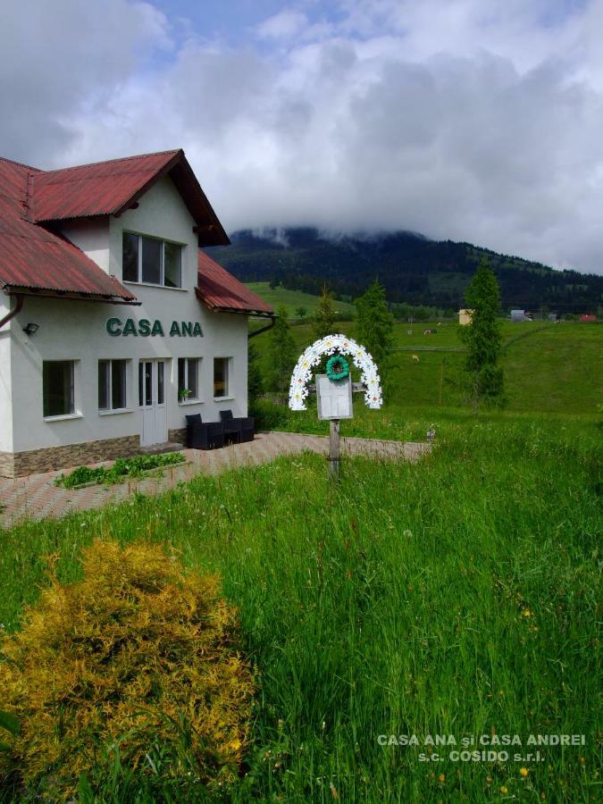 Casa Ana Vatra Dornei Villa Dealu Floreni Kültér fotó
